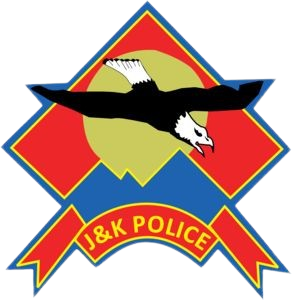logo.png